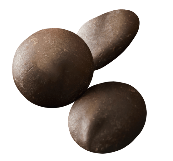 Van Leer dark chocolate wafers