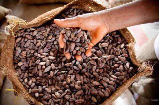 Barry Callebaut Group - Investor Relations