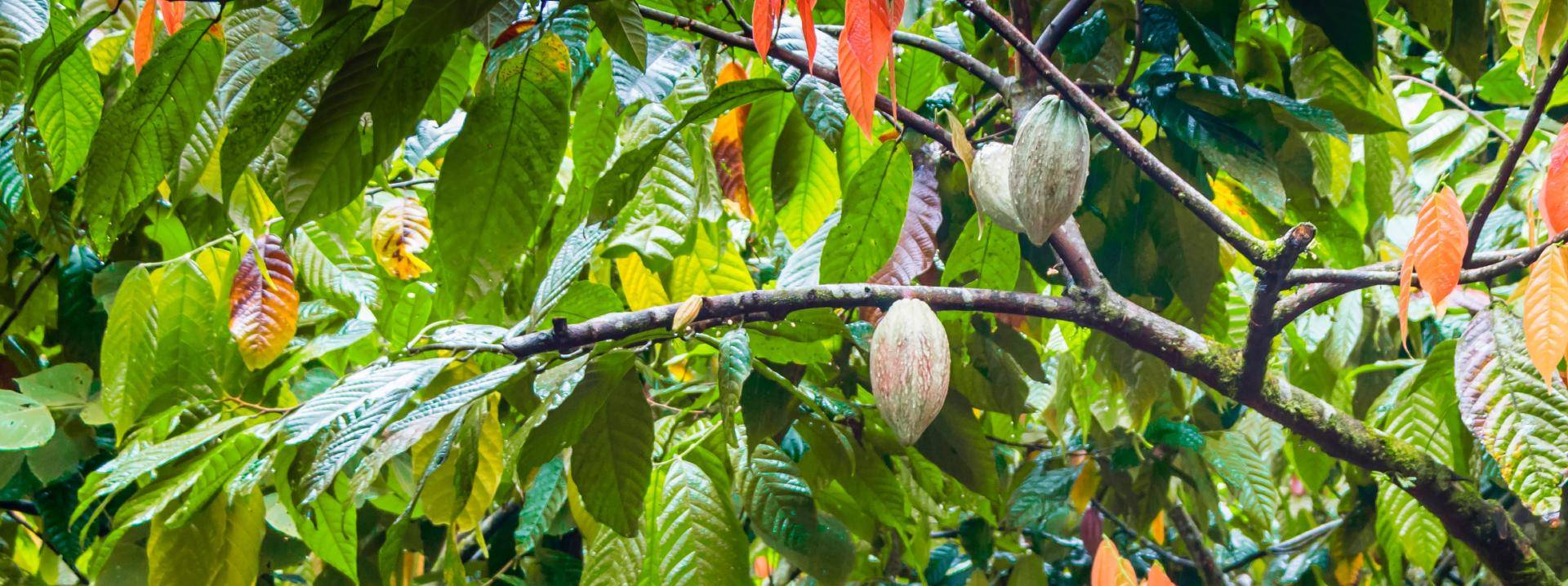 the importance of sustainability for your brand
