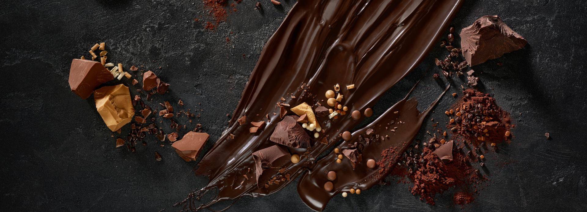 Barry Callebaut - About us