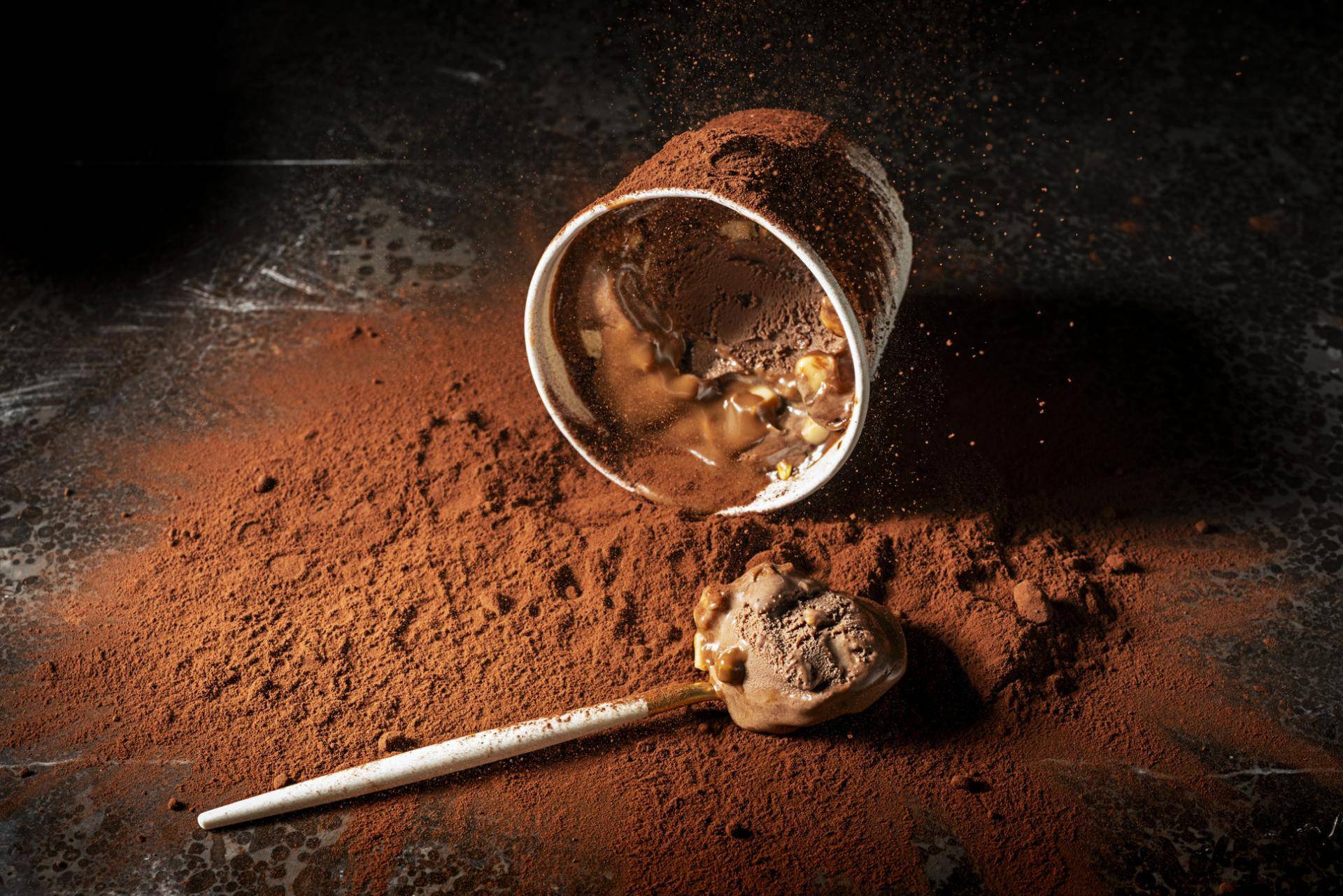 Barry Callebaut Group - Board of Directors