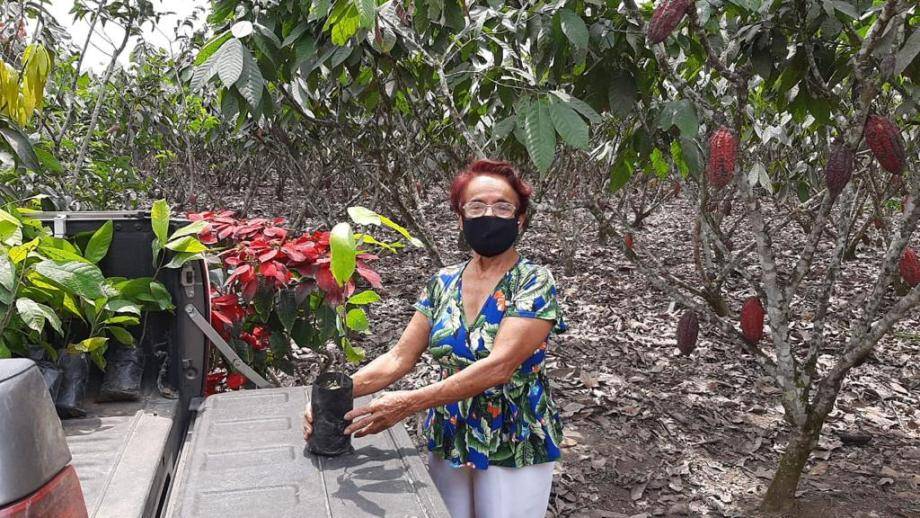 Cocoa farmer Ecuador