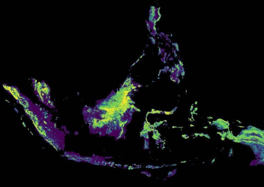 Artificial intelligence powers landscape mapping