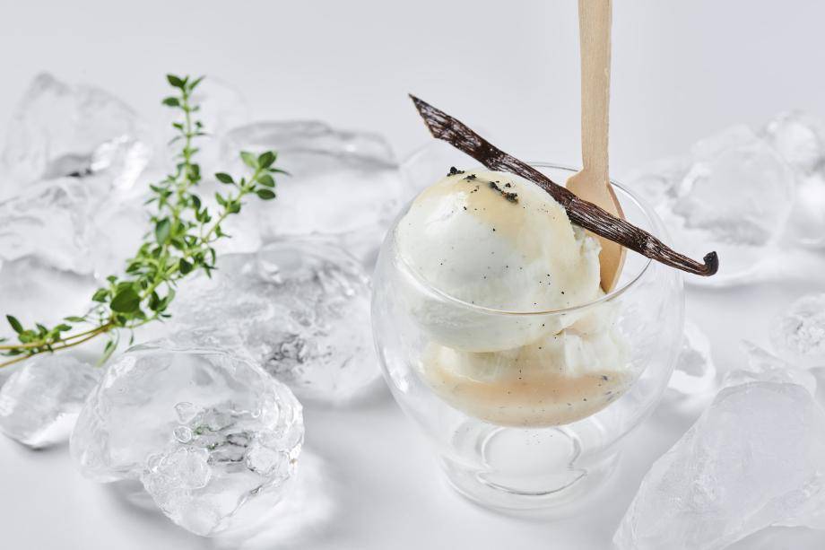 CACAOFRUIT & VANILLA MILK SORBET