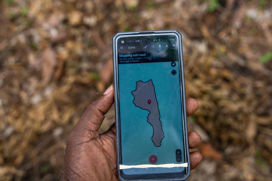 cocoa traceability