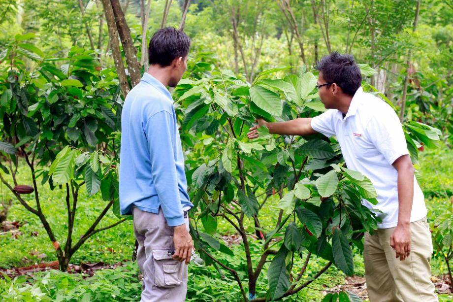 Barry Callebaut Group - Our position on ESG