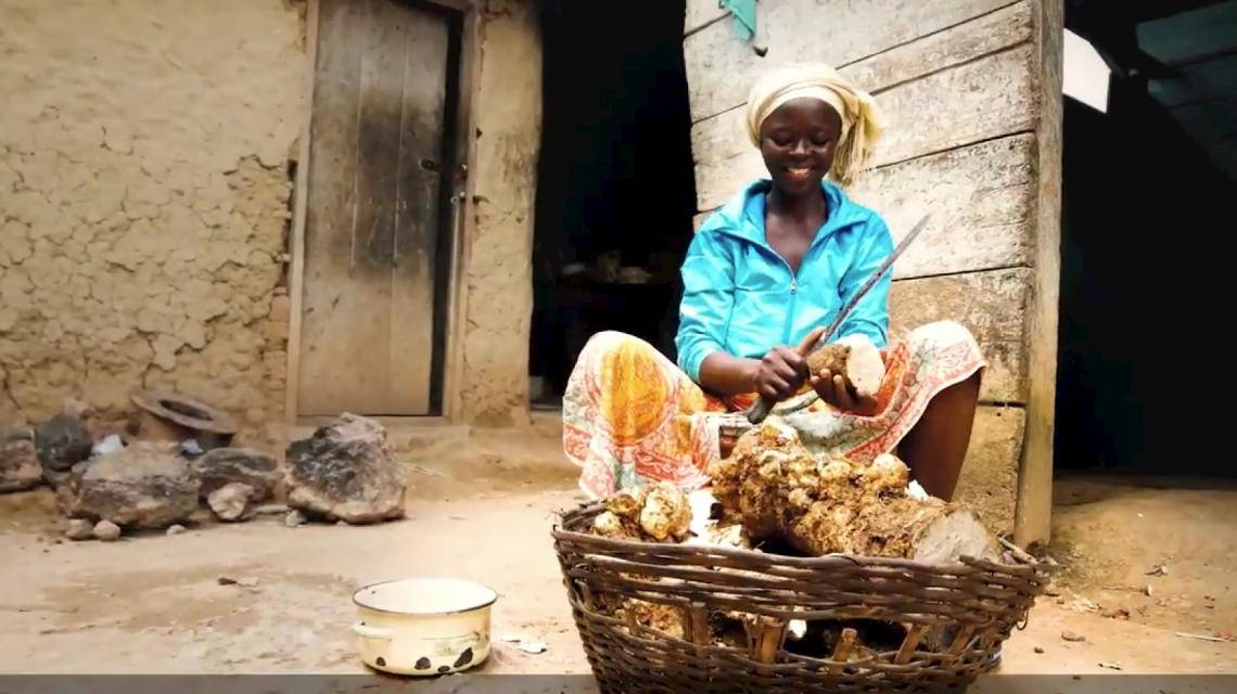 Professionalizing cocoa farming