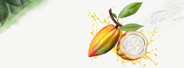 Barry Callebaut - 9-Month Key Sales Figures Fiscal Year 2020/21