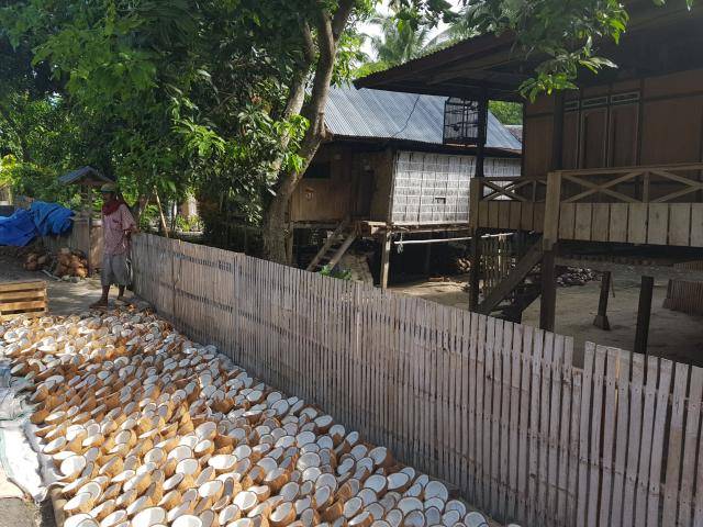 Barry Callebaut is part of the Sustainable Coconut Partnership platfom to drive impact in the industry