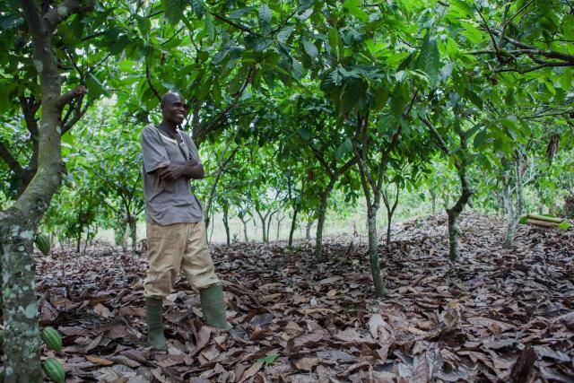 Barry Callebaut celebrates conscious chocolate choices with Cocoa Horizons Week