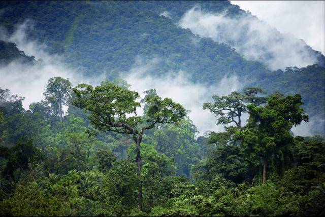 Navigating EUDR: Position on the recent EU Deforestation Regulation (EUDR) developments